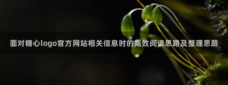 糖心vlog免费观看完整版:面对糖心logo官方网站相关信息时的高效阅读思路及整理思路