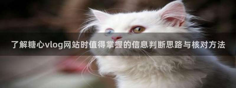 糖心vlog免费版在线观看