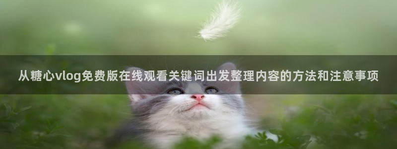 糖心网站