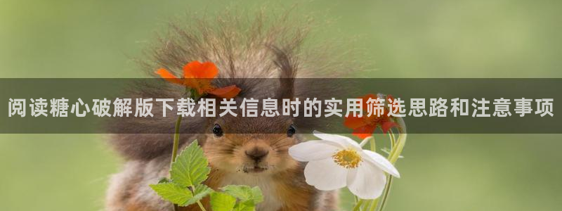糖心vlog观看