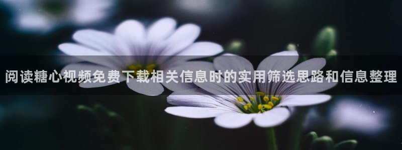 糖心网页版:阅读糖心视频免费下载相关信息时的实用筛选思路和信息整理