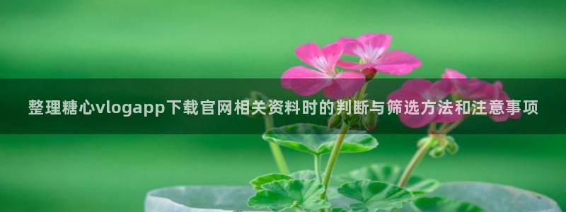 糖心官方平台:整理糖心vlogapp下载官网相关资料时的判断与筛选方法和注意事项