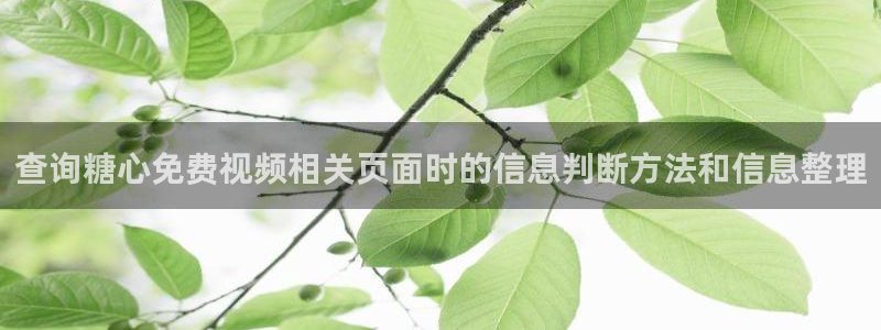 糖心的vlog日常免费观看:查询糖心免费视频相关页面时的信息判断方法和信息整理
