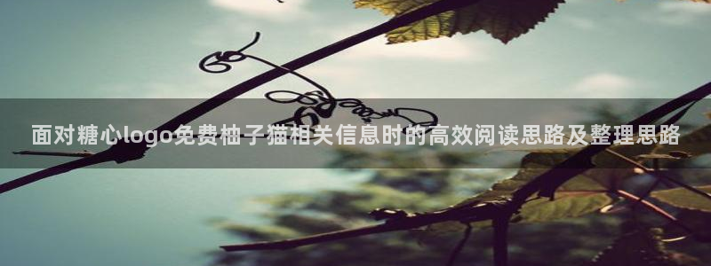 糖心视频下载:面对糖心logo免费柚子猫相关信息时的高效阅读思路及整理思路