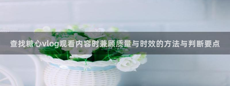 糖心网