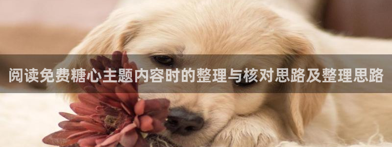 糖心logo柚子猫