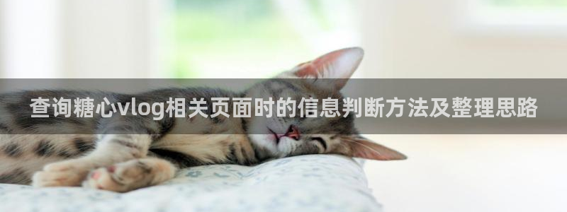 糖心在线观看：查询糖心vlog相关页面时的信息判断方法及整理思路