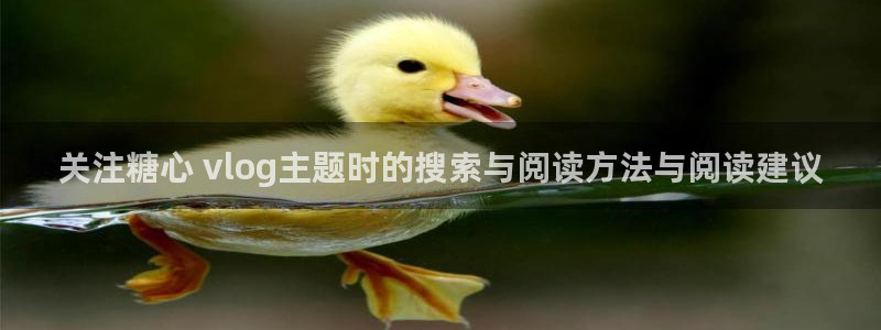 糖心传媒在线观看：关注糖心 vlog主题时的搜索与阅读方法与阅读建议
